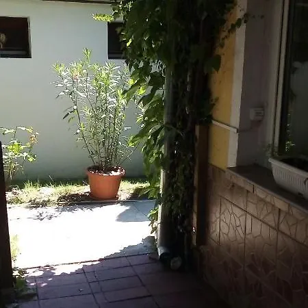 Vadszolo Vendeghaz *