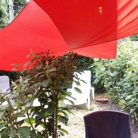 Vadszolo Vendeghaz Apartmán