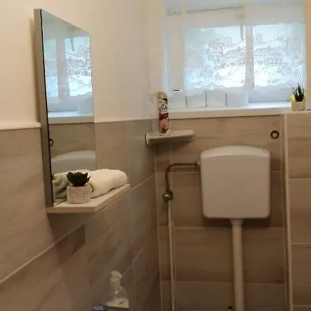 Vadszőlő Apartamento *