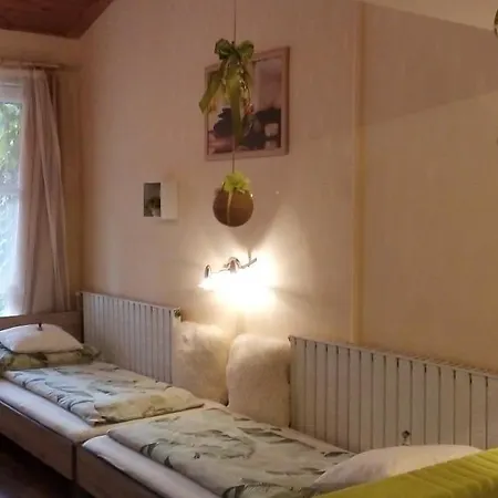Vadszolo Vendeghaz