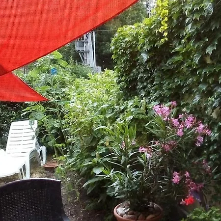 Vadszolo Vendeghaz