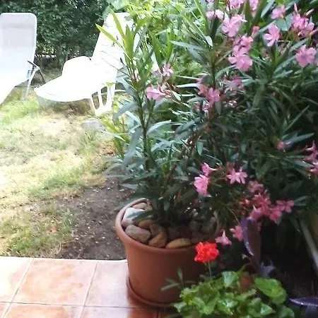 Vadszolo Vendeghaz Apartmán *