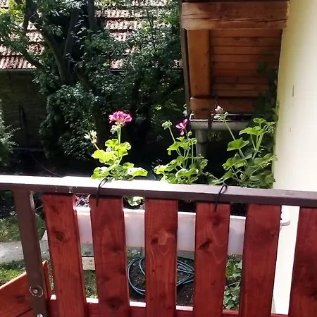 Vadszolo Vendeghaz Cak