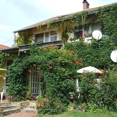 Apartment Vadszolo Vendeghaz