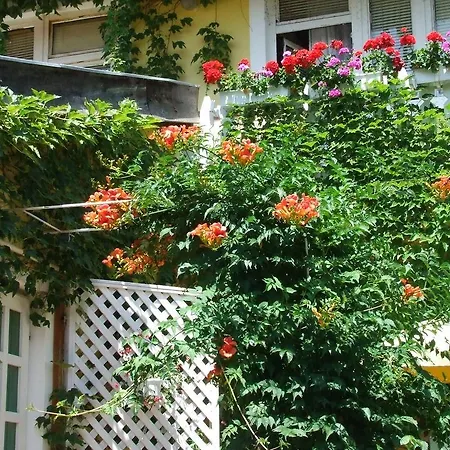 Apartmán Vadszolo Vendeghaz Cák