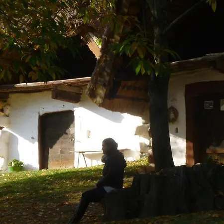 Lägenhet Vadszolo Vendeghaz Cák