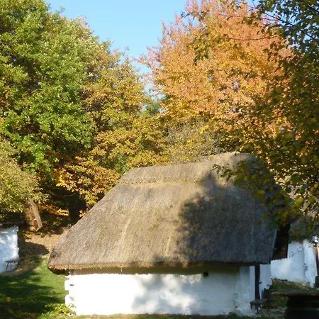 Vadszolo Vendeghaz