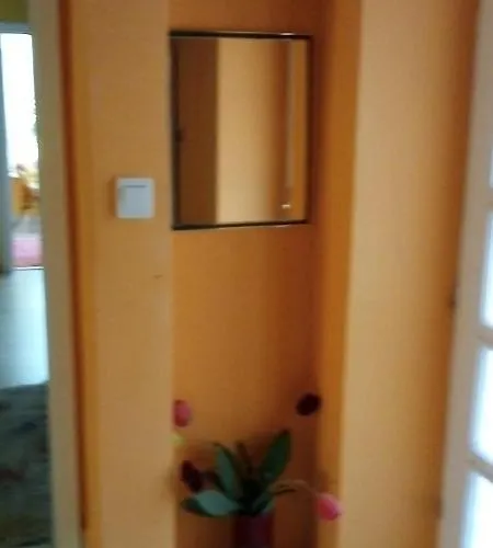 Apartment Vadszolo Vendeghaz *
