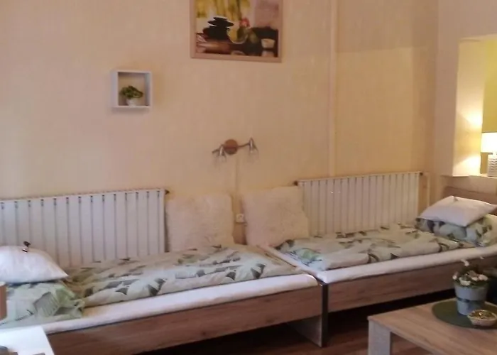 Vadszolo Vendeghaz *