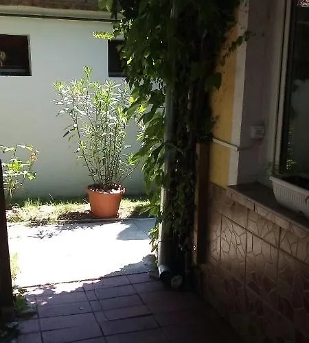 Vadszolo Vendeghaz *