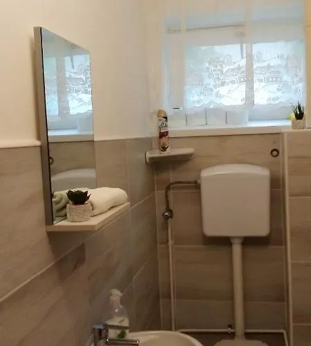 Vadszolo Vendeghaz Apartment *