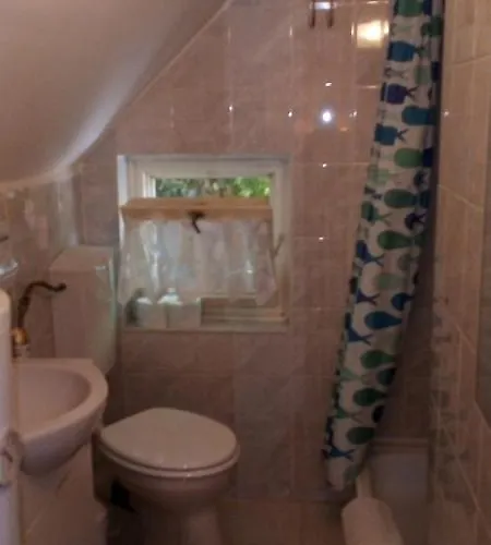 Apartment Vadszolo Vendeghaz