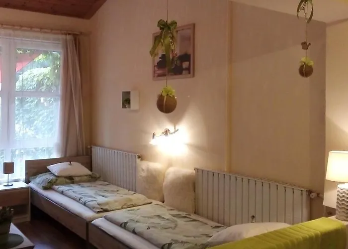 Vadszolo Vendeghaz