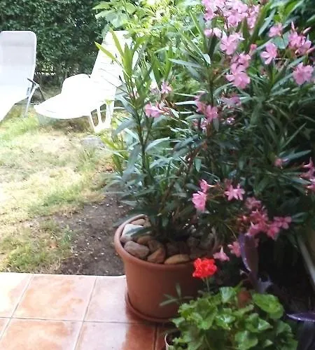 Vadszolo Vendeghaz Apartmán *