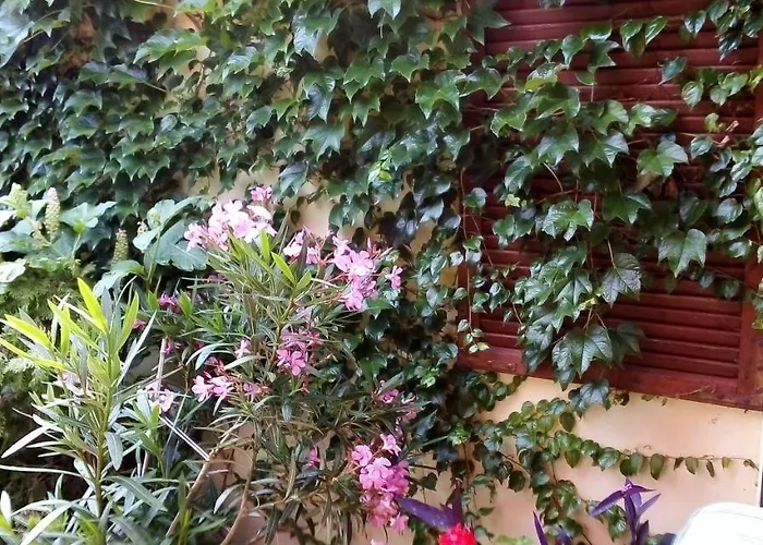 Vadszolo Vendeghaz Apartment