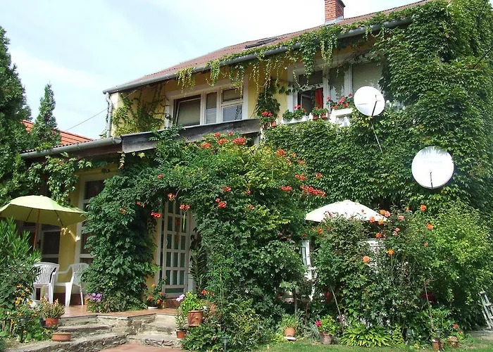 Apartment Vadszolo Vendeghaz