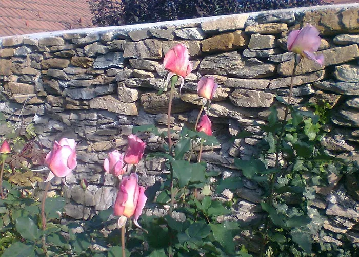 Vadszolo Vendeghaz Apartament *