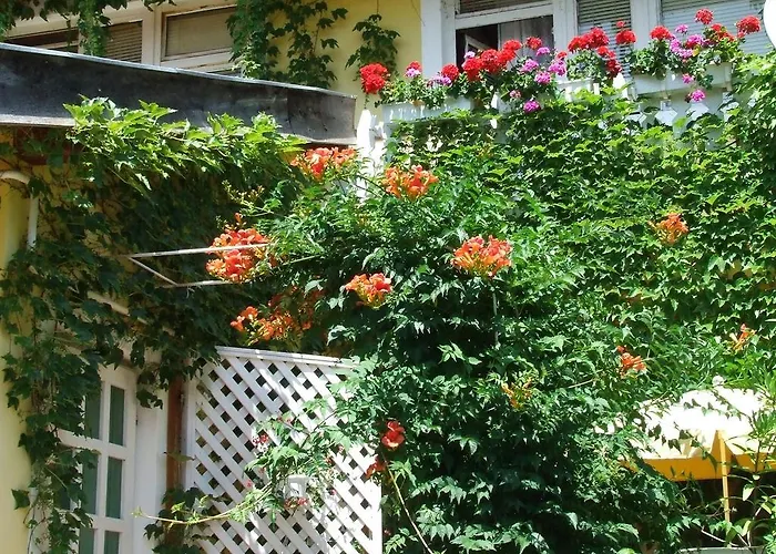 Apartmán Vadszolo Vendeghaz Cák