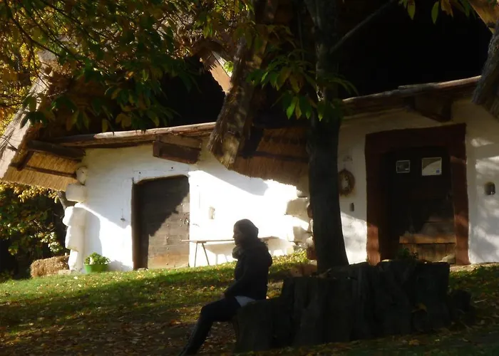 Apartament Vadszolo Vendeghaz Cák