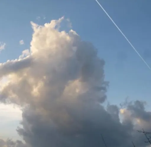 Apartament Vadszolo Vendeghaz *