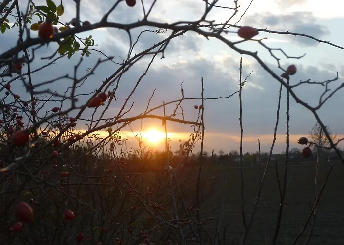 Apartament Vadszolo Vendeghaz Cák