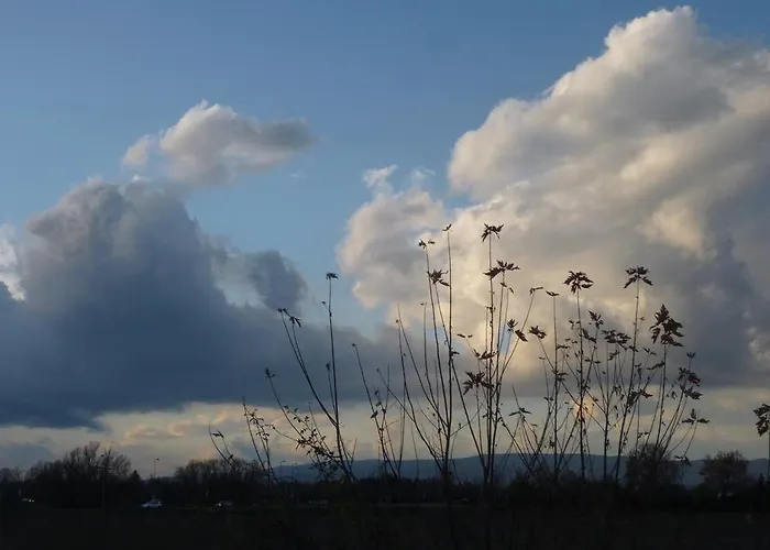 Apartament Vadszolo Vendeghaz *