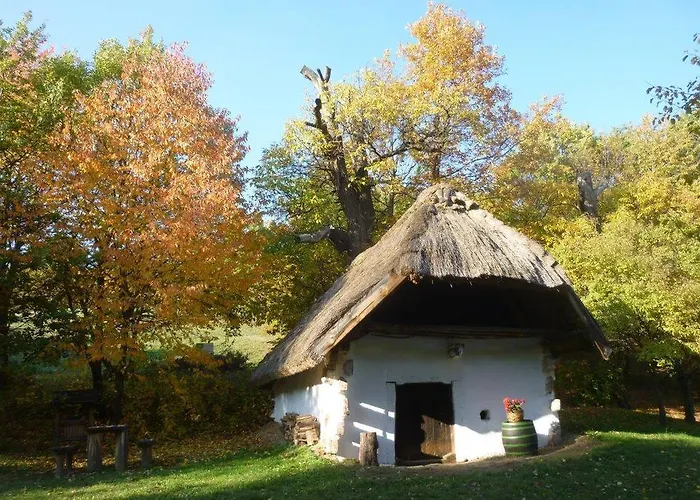 Apartament Vadszolo Vendeghaz Cák