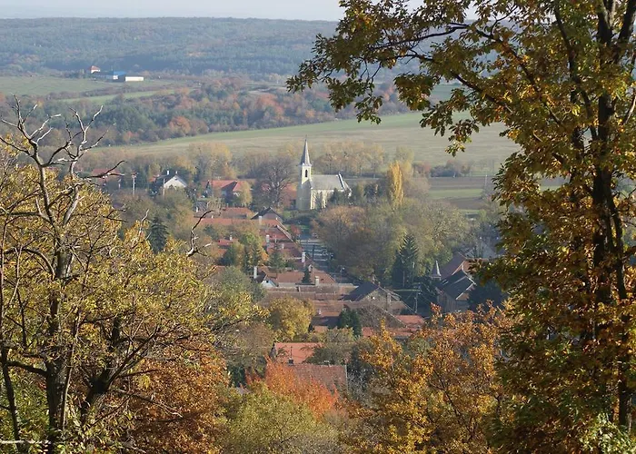 Apartament Vadszolo Vendeghaz *