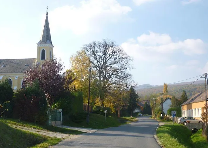 Apartament Vadszolo Vendeghaz Cák